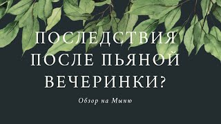 Последствия после вечеринки? Обзор на канал "Мой мир-meine Welt "