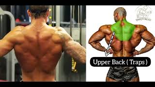 Top 4 Upper Middle and Lower Back workout  Back تمارين لظهر