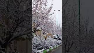 Iran 2023 Tehran View Snowy Day