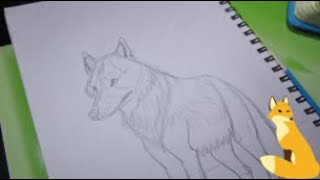 Wolf Pencil Drawing - Traditional Sketchbook