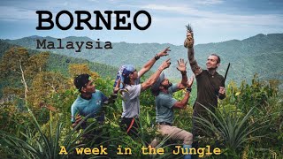 BORNEO: A week in the Jungle - Beautiful Malaysia Thank you for the Leeches - Alice and Orchidan