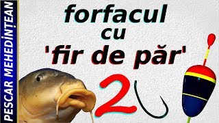 Forfacul cu 'fir de păr' ( partea a 2-a)