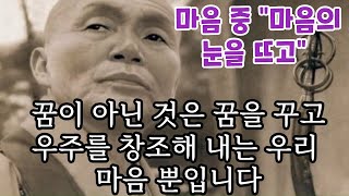 마음에서 부처가 나오고 하느님이 나오고,우주가 생겨 나오고, 꿈속 세계도 나온다.우리는 밤 꿈에만 우주를 창조해 내는 것이 아니라,꿈을 깬 낮 꿈에도 우주를 창조해 냅니다#청담스님