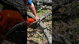 Farmer Runs Husqvarna 545 for First time #shorts #chainsaw #farm