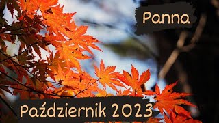 Panna♍ "Twój najlepszy przyjaciel to Ty..."🌻Październik 2023