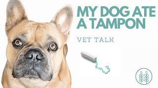 Q) Help! My dog ate a tampon!│ Twin Trees Vet Talk (FREE VET ADVICE PODCAST)