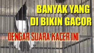 PANCINGAN KACER MUDAH ON