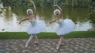 Pjotr Iljitsj Tsjaikovski : Swanlake