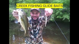 FISHING THE BERKLEY POWERBAIT NESSIE GLIDE BAIT IN A SMALL CREEK (THIS PLACE IS LOADED)