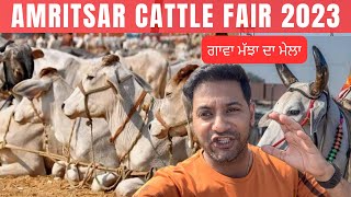 Amritsar cattle fair 2023 || ਪਸ਼ੂ ਮੇਲਾ 2023 , North India biggest cattle fair @Travelwithbonnie