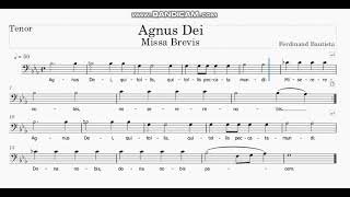 Agnus Dei Missa Brevis Tenor