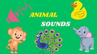 Animal Sounds | kindergarten