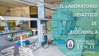 LABORATORIO DI BIOCHIMICA