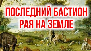 Последний бастион рая на земле