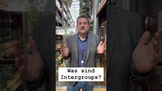 Was sind Intergroups? Unser Abgeordneter Sebastian erklärt das Europaparlament