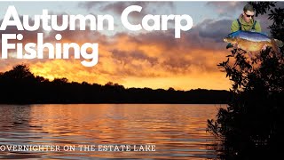 **AUTUMN CARP FISHING** Overnighter on the old estate lake