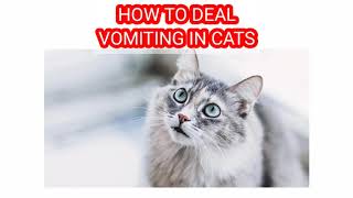 HOW TO DEAL VOMITING IN CATS/KITTENS/പൂച്ച / പൂച്ചക്കുട്ടികളിൽ ഛർദ്ദി എങ്ങനെ കൈകാര്യം ചെയ്യാം?