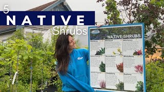 5 Nifty Native Shrubs 🌿