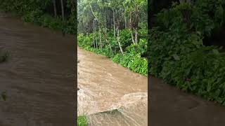 Flood in coorg. not a right time for tourist.