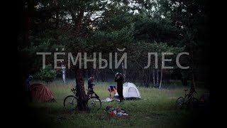 Тёмный лес.