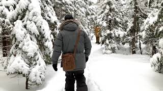 Raquette sur neige / Snowshoeing