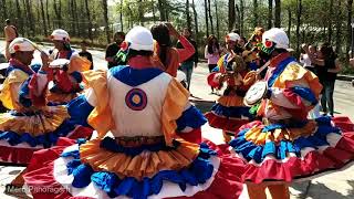 Chaliya Dance | On The Occasion of World Theater Day: Day 1