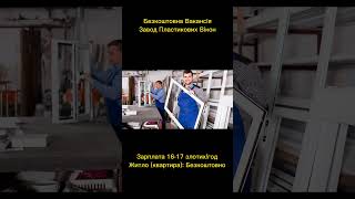 Робота в Польщі на фабриці вікон #роботазакордоном