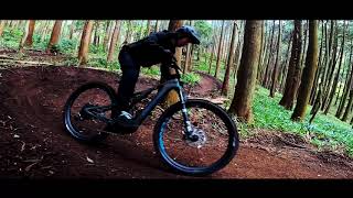 Ninja Trail x Turbo Levo SL