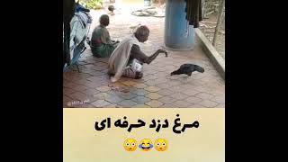 پیر مردی مرغ دزد حرفه ای#shorts