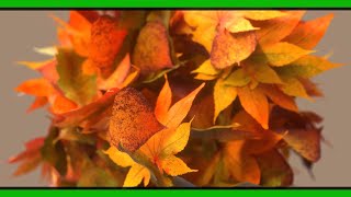 Houdini Tutorial | Autumn Leaves Vellum Danse