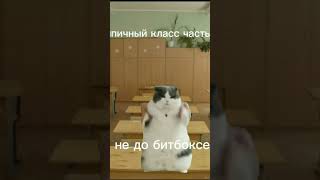 #коты #жиза #мемы #пов #приколы #cupcut #xrecorder Типичный класс часть 1