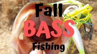 FALL BASS FISHING - CHATTERBAIT and SHAKY HEAD