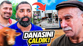 BABAMIN KURBANLIK DANASINI ÇALDIK