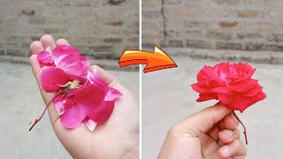 Simple Magic Trick Using Flower