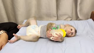 Little Boy FIDO Sleep Drink Milk Most Adorable On His Bed