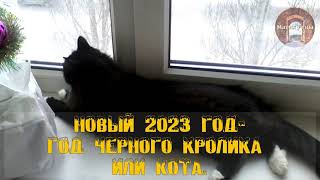 Поздравление с новым 2023 годом от Рены Яндар!