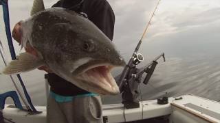 Lake Trout Opener Lake Simcoe 2017