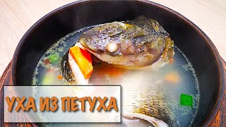 УХА ИЗ ПЕТУХА. Легкие рецепты #супербатянакухне #superdad #superbatya