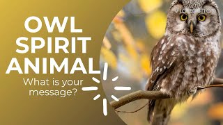 Owl Spirit Animal | Owl Spiritual Meaning #owlspiritanimal #owlspiritguide #owlspiritualmeaning