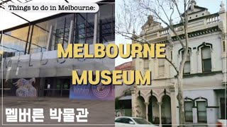 🇦🇺 멜버른 박물관 여행 브이로그 Melbourne museum tour travel vlog