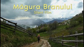 Silent Film | Măgura Branului la Ceas de Primăvară: cele mai Frumoase Peisaje Ușor Accesibile