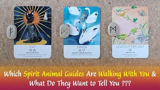 Which Spirit Animal Guides Are Walking With You & What Do They Want To Tell You 🦌🐎🐻🐯👉🌈