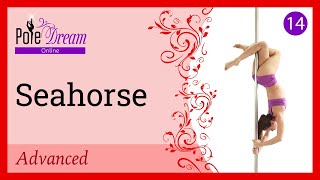 14. Seahorse - Pole Move - Advanced level