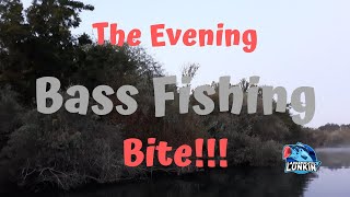 BASS FISHING with JIGS - The Evening Bite!!! - SPOT X