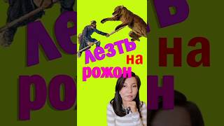 Лезть на рожон#полезнознать #интересныефакты #лезтьнарожон