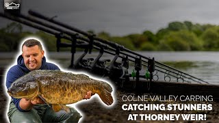 OUT NOW | Thorney Weir (TRAILER) | Tom Maker | CineCarp TV