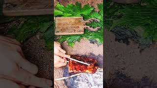 #survival #forest_stories #bushcraft #nature #shelter #camping #youtubeshorts