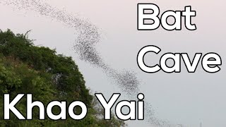 See millions of bats emerge from bat cave Khao Yai, Thailand 4K