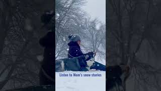 Siberian Husky: Listen to Mom's snow stories on to of a hill in the heavy snow.