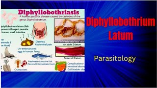 Lec#6 Diphyllobothrium Latum 🔥||#Medical parasitology #Medical Microbiology #Intestinal cestodes